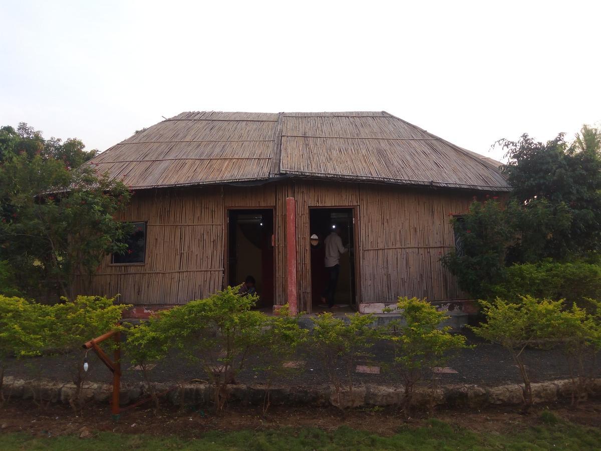 غابة غير The Hillview Camp Resort المظهر الخارجي الصورة